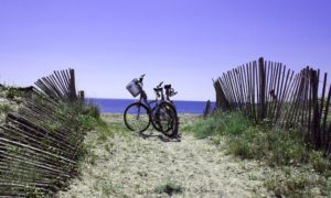 Faire une balade à velo sur l'ile d'Oléron